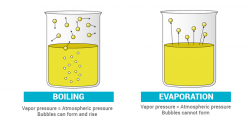 What is Vaporization? - Factor affecting Vaporization & Examples