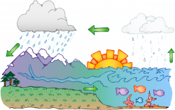 Water cycle - ThingLink