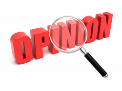 Supplementary Information Audit Opinion | CPA Hall Talk