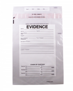 Evidence Bag | Trend Bags