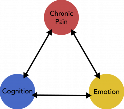 Assessing the Pain Triangle