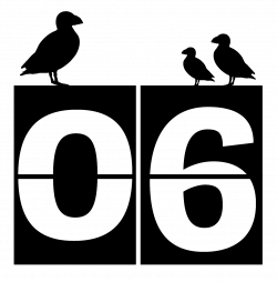 Home Jules: Day 6: Peregrines and gardens