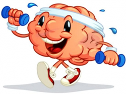 Exercise and Brain Health | Fitness Guide | Mental benefits ...
