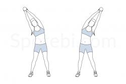 Standing Side Bend | Illustrated Exercise Guide