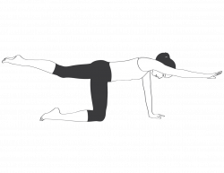 2 Best Lower Back Strengthening Exercises To Prevent Back Pain