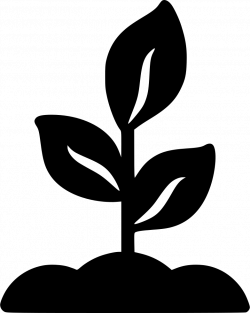 Biology Plants Life Test Experiment Svg Png Icon Free Download ...