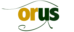 ORus Research
