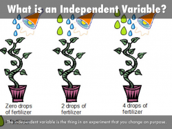 Independent Versus Dependent Variables by Carley