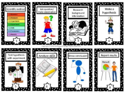 Scientific Method Vocabulary Cards and Word Wall from Common ...