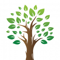 Green Tree With Green Leaf, Tree, Green Tree, Leaves PNG and Vector ...