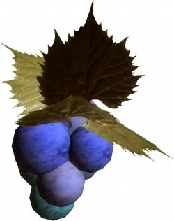 Jazbay Grapes (Skyrim) | Elder Scrolls | FANDOM powered by Wikia