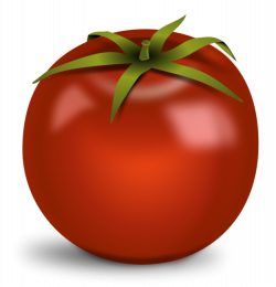 Free PNG Tomatoes Transparent Tomatoes.PNG Images. | PlusPNG