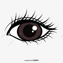 Eye Eyelash Beauty Five Senses, Eyes, Eye, Eyeball PNG ...