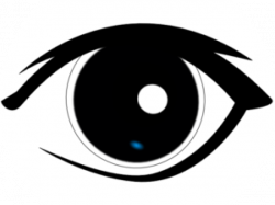 Free Eyeball Clipart, Download Free Clip Art on Owips.com