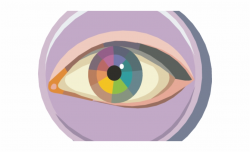 Eyeball Clipart See Sense - Circle - all seeing eye pyramid ...