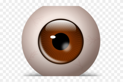 Eyeball Clipart Different Eye - Circle, HD Png Download ...