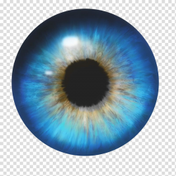 Blue and black eye illustration, Human eye, Eyes transparent ...