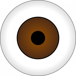 Clipart - Olhos Castanhos/ Brown Eye