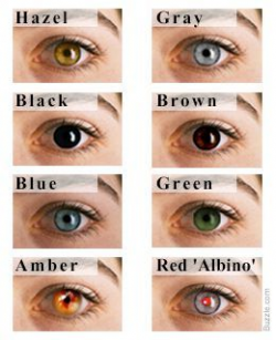 Eye Color Chart: Interesting Facts About the Different ...
