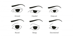 Collection of Eye clipart | Free download best Eye clipart ...