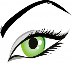 Free photo Eye Lashes Green Eyes Viewing Eye Vision Iris - Max Pixel
