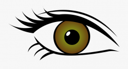 Green Eyes Clipart Horse Eye - Eye Color Clip Art ...