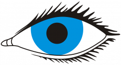 Blue Eyes Clipart#4337421 - Shop of Clipart Library