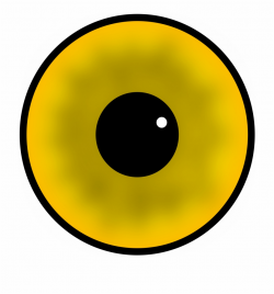 Eyeball Clipart Proper Care Eye Circle - Clip Art Library