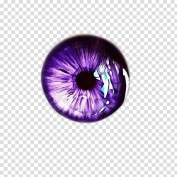 Purple eye , Drawing Eye color Iris Art, Purple eyes ...