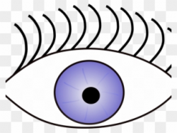 Eye Clipart Sense - Sense Of Sight Png Transparent Png ...