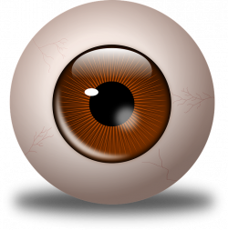 Brown Eyes Clipart mata - Free Clipart on Dumielauxepices.net