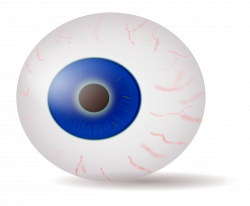 Eyeball blue realistic Icons PNG - Free PNG and Icons Downloads