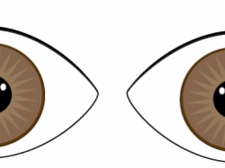 Brown Eyes Clipart - Free Clipart on Dumielauxepices.net