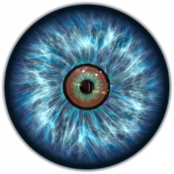 Eye Iris Pupil Clip art - eyes 1024*1024 transprent Png Free ...