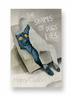 The Shapes of Dogs' Eyes | Dead Ink Books
