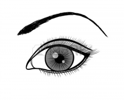 Free Eye Drawing Black And White, Download Free Clip Art ...