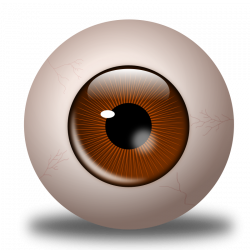 Eyeball Clipart different eye - Free Clipart on Dumielauxepices.net