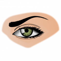 Brown Eyes clipart human nose - Pencil and in color brown eyes ...