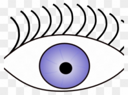 Green Eyes Clipart Sense Sight - Eye Clip Art - Png Download ...