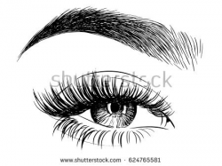 eyebrow drawing blue eyes clipart eyebrow drawing pencil and in ...