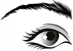 Free Eyebrow Cliparts, Download Free Clip Art, Free Clip Art ...