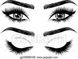 Vector Art - Eyes with long eyelashes and brows. Clipart ...
