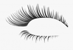 Extensions Cosmetics Clip Art Thick Eyelashes Thin ...