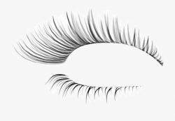 Eye Lash Extension - Fake Eyelashes Transparent Background ...