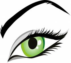 Green eye and eyebrow clipart free image