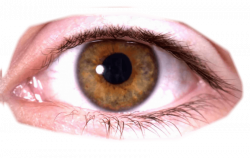 eye png - Free PNG Images | TOPpng