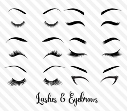 Lashes and Eyebrows Vector Clipart by Digital Curio on ...