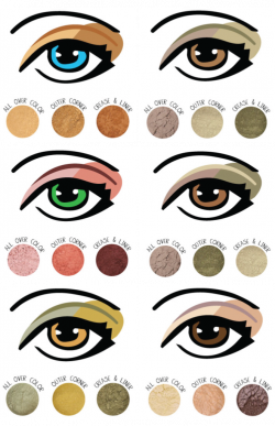 Guide to Eyeshadows | cienie do oczu in 2019 | Dark eyebrows ...