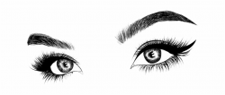 Picture - Eyelash And Eyebrow Clipart Free PNG Images ...