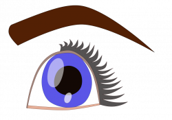 File:Eye.svg - Wikipedia